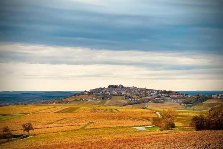 Gite Entre Vignes Et Loire Thauvenay Luaran gambar